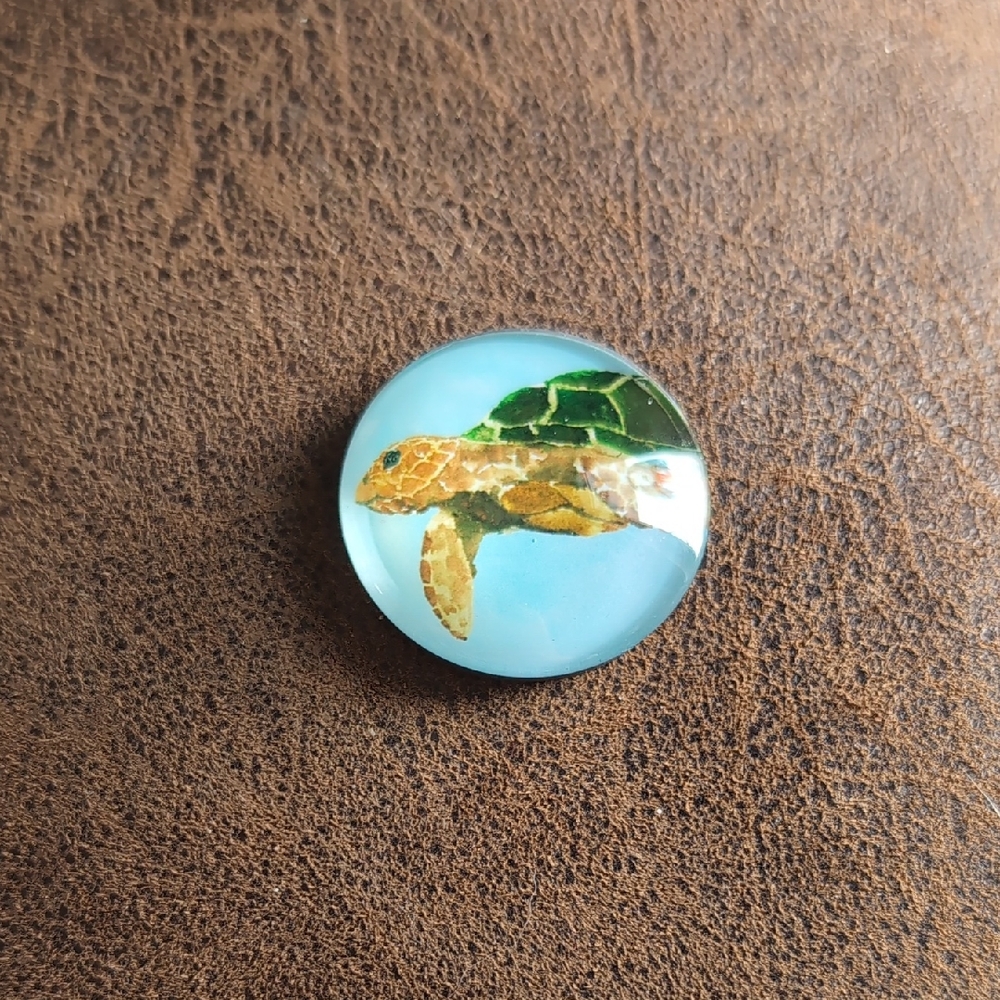 3/8$⚡Turtle Magnet